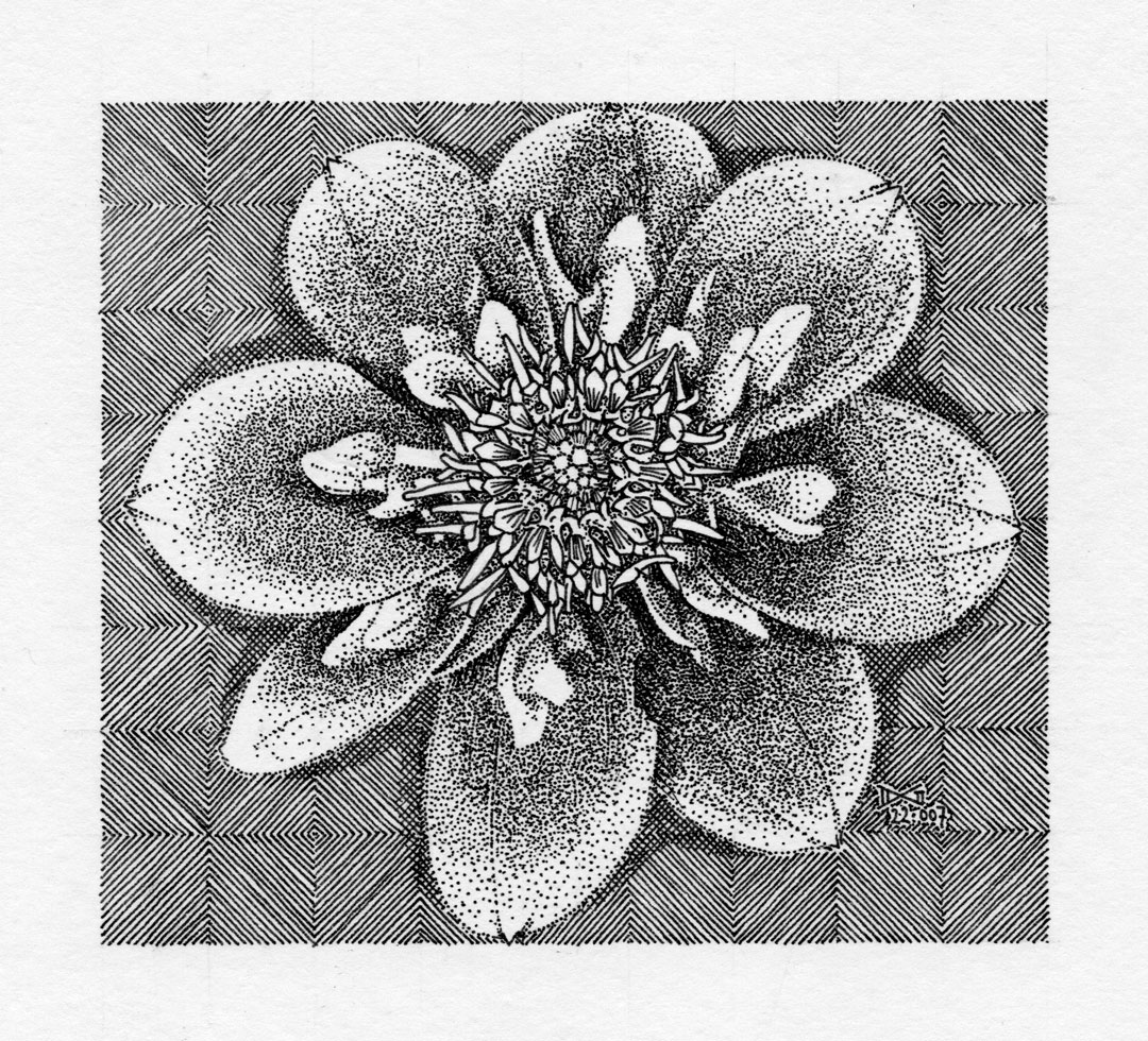 Bloem