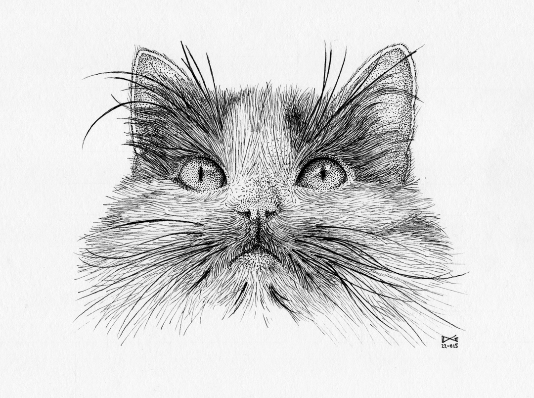 Sascha